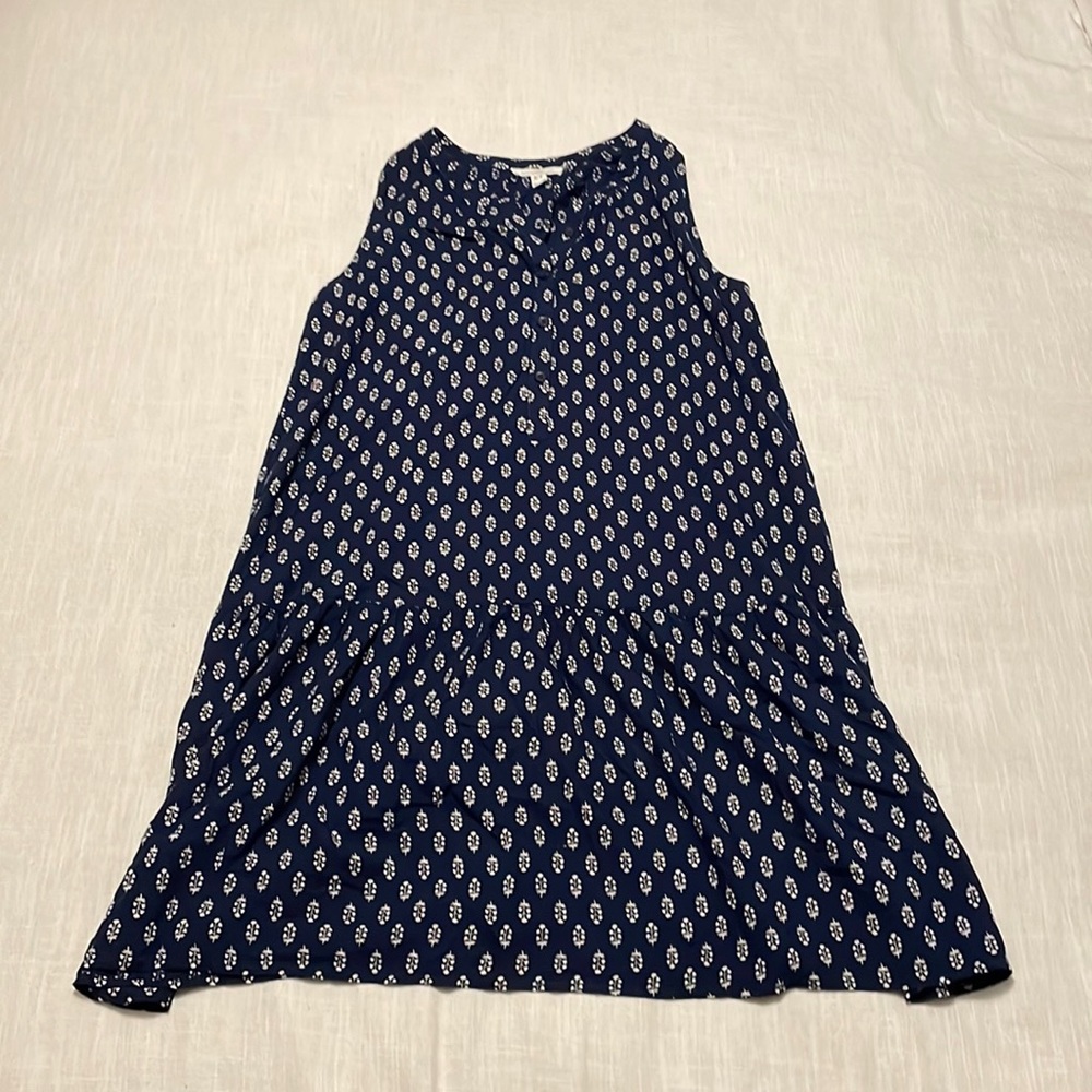 Beachlunchlounge Blue Floral Button Dress